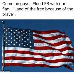 Meet your Posher, Helen